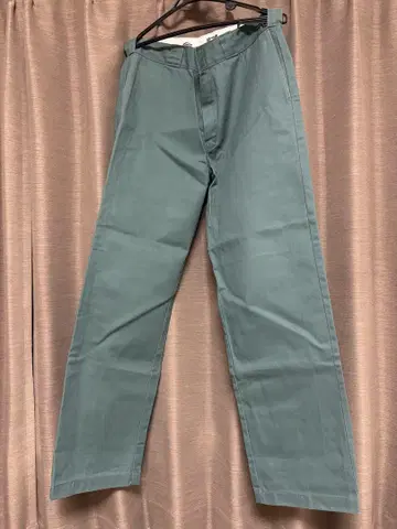 디키즈 874