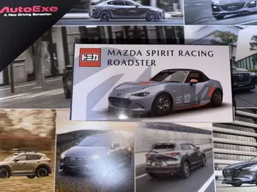 MAZDA SPIRIT RACING ROADSTER 미니카
