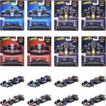 HW 프리미엄 레이스 모듬 F1 HRV11-986F