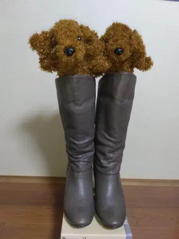 다크 그레이 리본 포함 롱 부츠