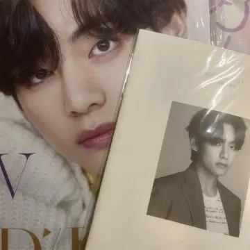 BTS DICON 태태 V