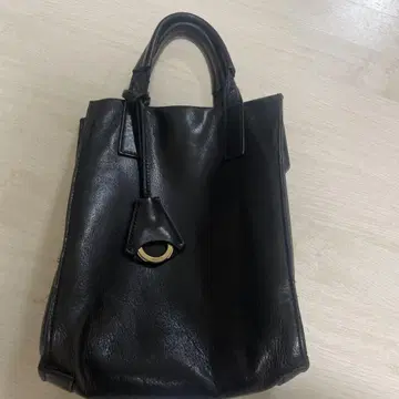 아니아 리 토트백