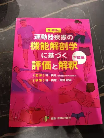 운동기 질환의 기능 해부학에 기반한 평가와 해석 하지편