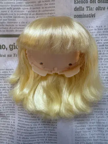 브라이스 조이 앤 하 펫 피쉬 머리 부품만