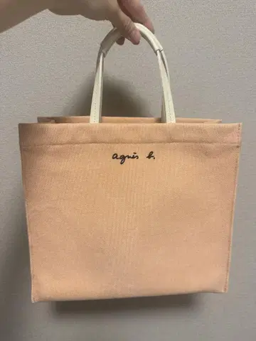아네스 베 토트백