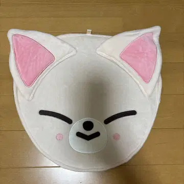아이엔 부채 커버