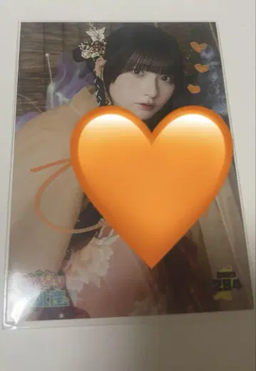 사쿠라 히나노 도호쿠산 뒷코멘트 있음 사인 친필