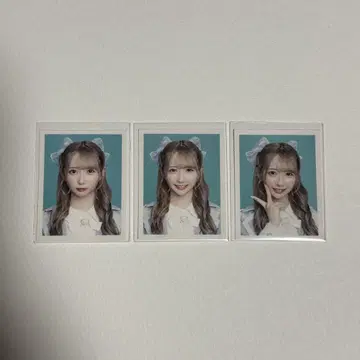 노이메 아이디 포토 타니자키 사야 천사는 어디에