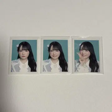 노이메 ID 사진 스즈키 히토미 천사는 어디에