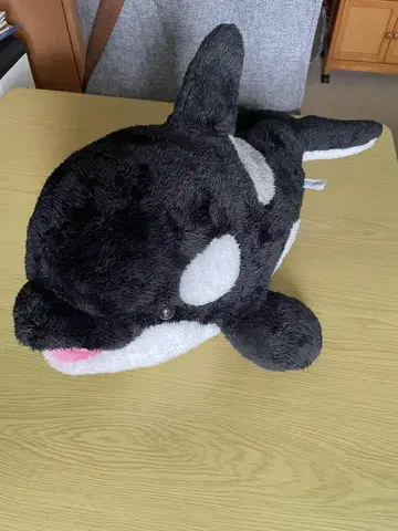 카모가와 씨월드 범고래 복권 3등상 약 60cm 봉제 인형