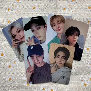 StrayKids 스키즈 kwave Stay 공개방송 트레이딩 카드 6장