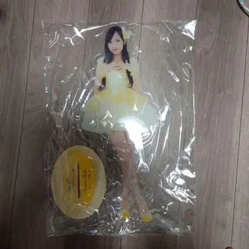 아이돌 아크릴 스탠드 이이쿠보 하루나