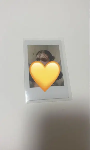 안두 하카 폴라로이드