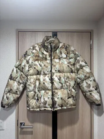 THE NORTH FACE 눕시 자켓