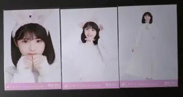 노기자카46 토끼 해