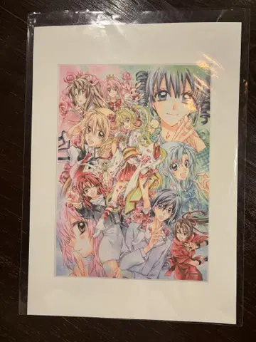 타네무라 아리나 프레임 아트 20th Anniversary 원화전