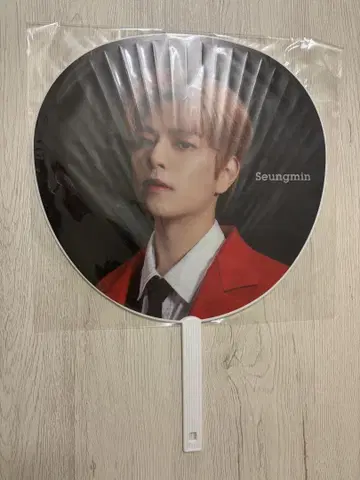 straykids 승민 social path 부채