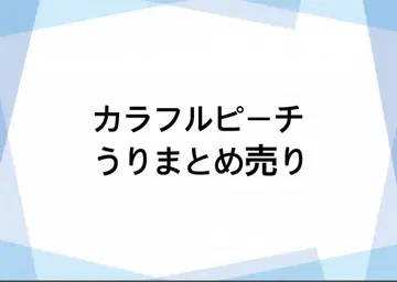 컬러풀 피치 묶음 판매