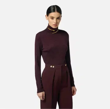 Elisabetta Franchi 마룬 터틀넥 니트