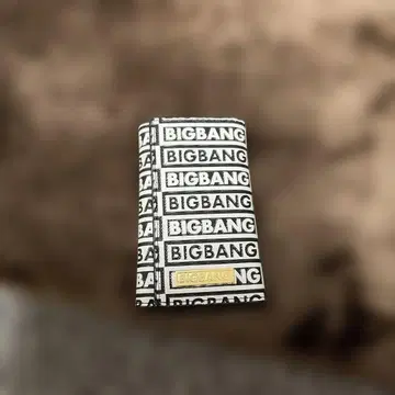 BIGBANG 키케이스