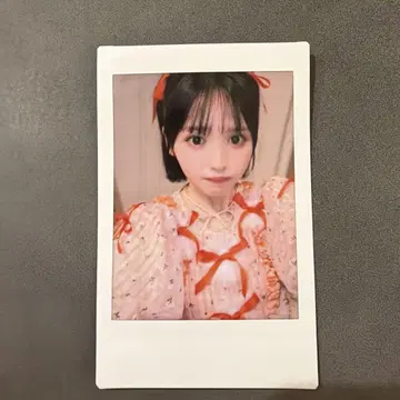 진세이 스즈카 혜택회 폴라로이드
