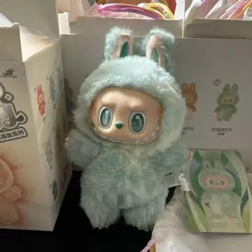 에너지 러브 정품 당일 발송