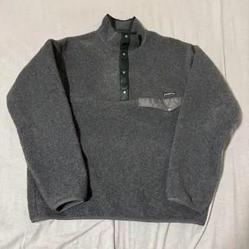 파타고니아 Patagonia 스냅 T