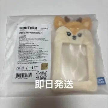 MINITEEN 조슈아 트레이딩 카드 케이스 미니틴