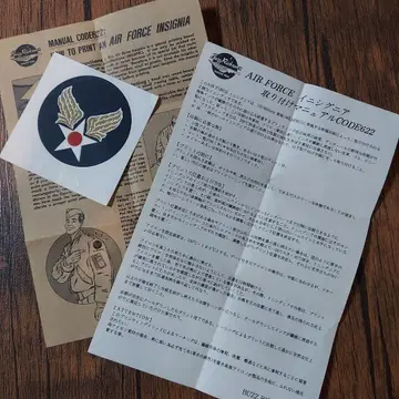 2 버즈릭슨 AIR FORCE 인시그니아