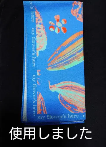 후지이 카제 my flower's here 반다나 사용감 있음