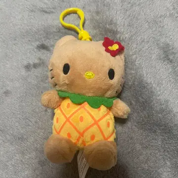 일광화상 키티 하와이 한정판 파인애플