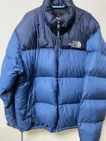THE NORTH FACE 네이비 다운 자켓