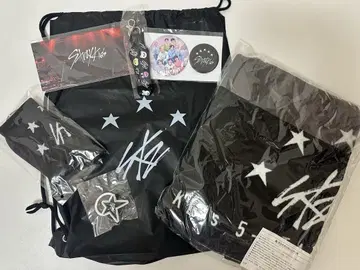 straykids 5star 돔 투어 업그레이드 혜택