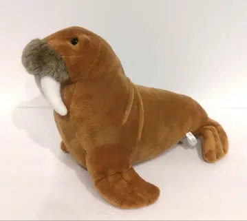 10C+1 100+1 원오원 바다코끼리 BIG 봉제 인형