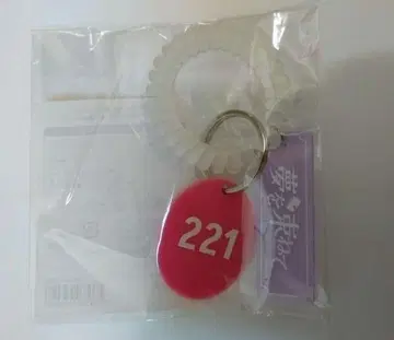 결속 밴드 TOUR we will B 꿈을 묶어 로커 키 풍 참