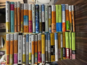 히가시노 게이고 40권 세트 미스터리 작품집, 문고본