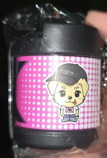 이와타 타카노리 코인 실린더