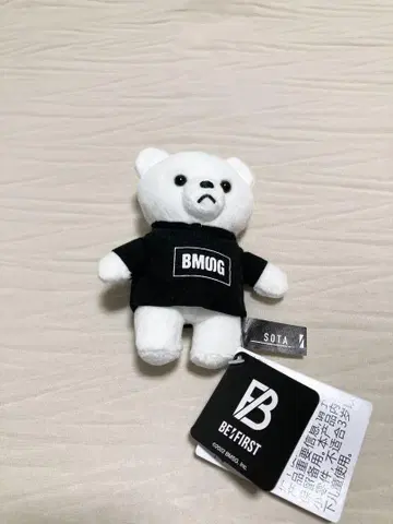 [ 익명 배송 ] SOTA 곰 BE:FIRST