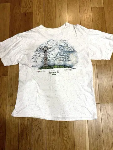 90S 레어 ONEITA TOTEM 네이티브 T셔츠 XL