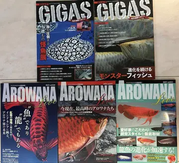 GIGAS & AROWANA Live 잡지 세트