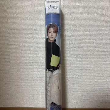 Stray kids dfesta 포스터 A
