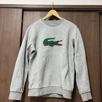 LACOSTE 그레이 트레이닝복 S