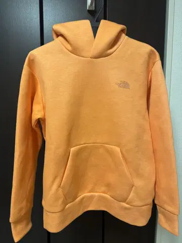 THE NORTH FACE 후드티