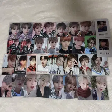워너원 박지훈 트레이딩 카드