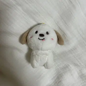 smtown 공식 riize 몽룡이
