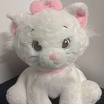 멋쟁이 캣