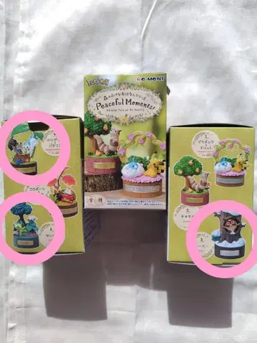 숲의 작은 이야기 시리즈 포켓몬 3종 세트!