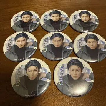 에이스테 천립갑  태양 캔뱃지