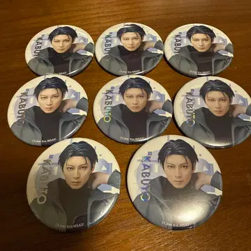 에이스테 천립갑 악천태양 캔뱃지 A3!