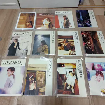 WEZARD 사카이 이즈미 ZARD 팬클럽 뉴스레터 12권